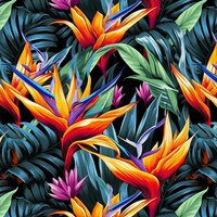 WILD JUNGLE WZ.11 (ORANGE)