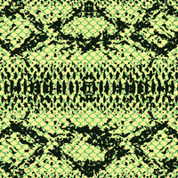 SNAKE'S SKIN PAT.1 / green