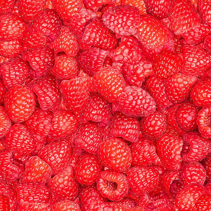 HIMBEEREN - Wasserabweisende Webware