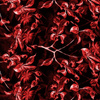 APFELBLÜTE Ms. 1 (rot) / schwarz - Softshell