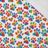 COLOR POP WZ.1 - single jersey