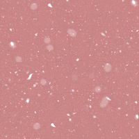 SNOWY PINK
