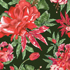 AZALEAS (RED GARDEN)