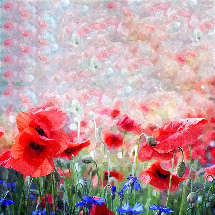 POPPIES pat. 1 - SINGLE JERSEY PANEL 