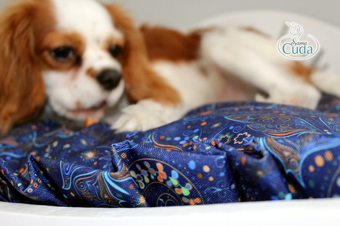 ETNO BUTTERFLIES - Waterproof woven fabric