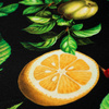 PARADISE FRUITS pat. 3 (PARADISE GARDEN)  - Woven Fabric for tablecloths