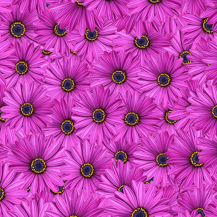 GERBERAS - Waterproof woven fabric