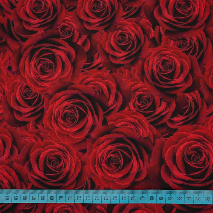 ROSES - softshell
