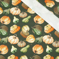 KÜRBISSE UND ZUCCHINI / olive (KÜRBISGARTEN) - Single Jersey