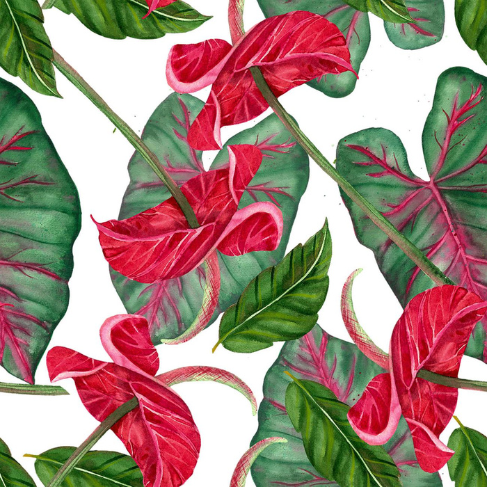 ANTHURIUM - single jersey 
