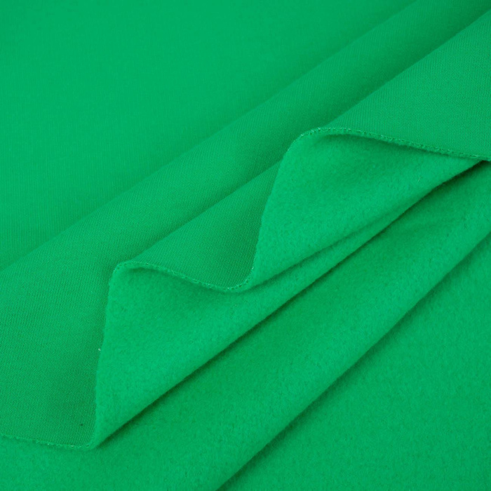 D-101 GREEN - thick brushed sweatshirt D300