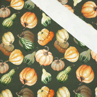 PUMPKINS AND ZUCCHINI / olive (PUMPKIN GARDEN) - looped knit fabric