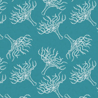 KORALLEN (BLAUER PLANET)