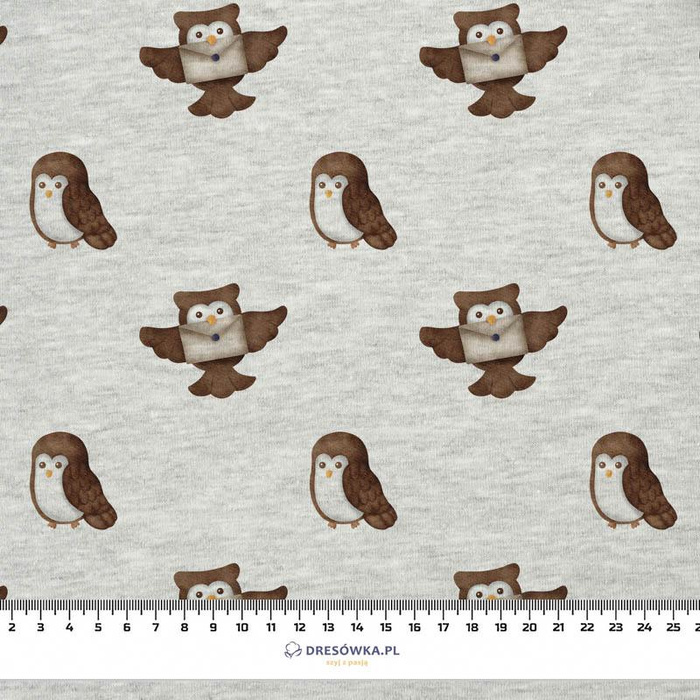OWLS pat. 2 (MAGIC SCHOOL) / M-01 melange light grey