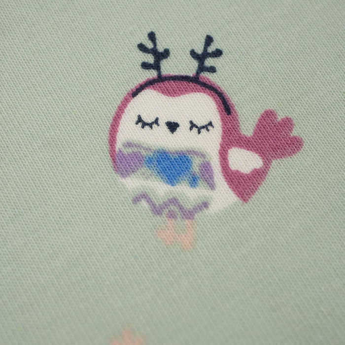 WINTERSPATZEN / Mint - Single Jersey TE210