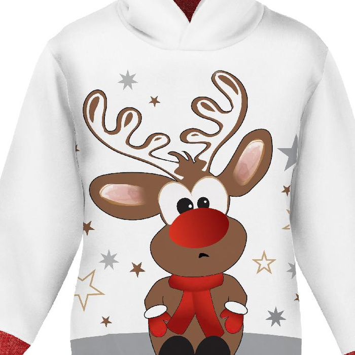 KINDER HOODIE (ALEX) - RENTIER ROBIE - Sommersweat (98/104)