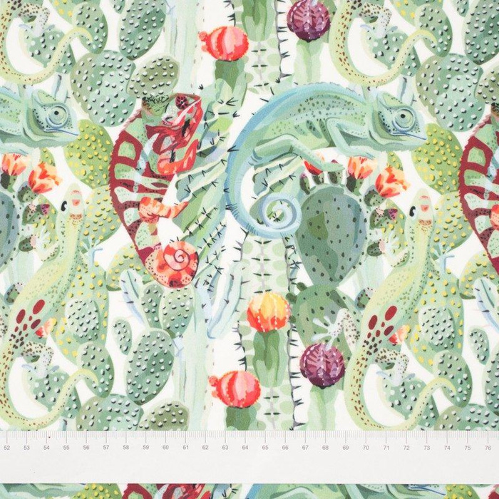 KAMELEONY - softshell