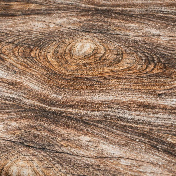 TREE RING pat. 1 (PHOTOGRAPHIC BACKGROUND) - Waterproof woven fabric