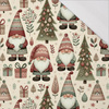 GNOMES CHRISTMAS WZ.1 - single jersey