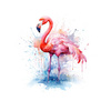 WATERCOLOR FLAMINGO - Paneel (75cm x 80cm) bavlněná tkanina