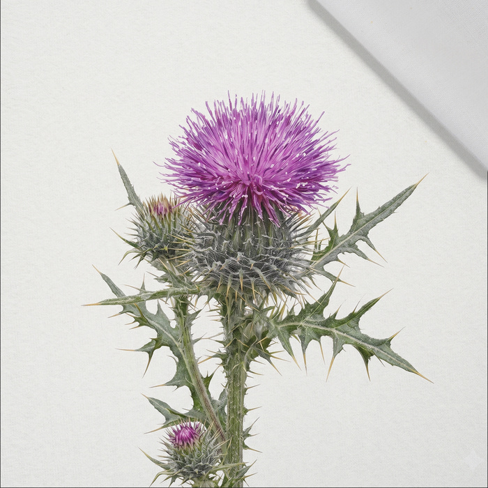 PASTEL WILDFLOWER - Paneel (75cm x 80cm) bavlněná tkanina