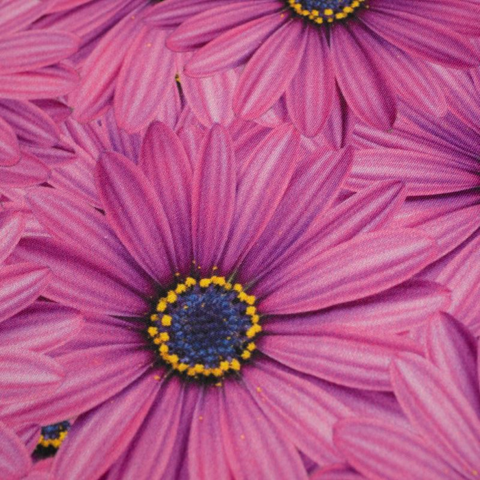 GERBERAS - swimsuit lycra