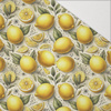 TUTTI FRUTTI WZ. 34 - Hydrophober angerauter Wintersweat