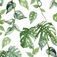 TROPISCHE BLÄTTER MIX Ms. 2 / weiß (JUNGLE) - Wasserabweisende Webware