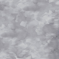 CAMOUFLAGE m. 2 / grau