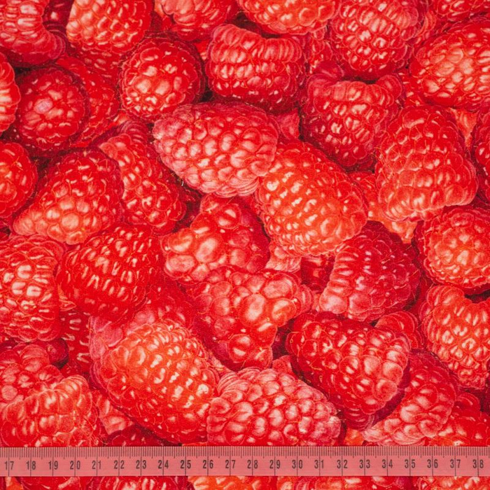 MALINY - dresówka pętelkowa SP250