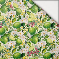 TUTTI FRUTTI WZ. 41 / lime cream - lehký, česaný úplet