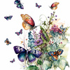 BEAUTIFUL BUTTERFLY WZ. 3 - PANEL (60cm x 50cm) SINGLE JERSEY