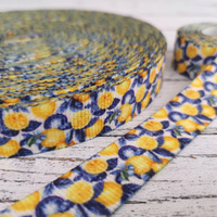 Webbing Tape with Print 25mm - Tutti Frutti wz. 16