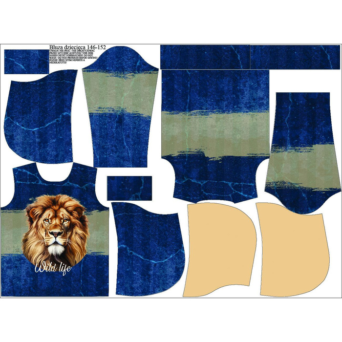 KINDER HOODIE (ALEX) - LION  - Sommersweat (122/128)
