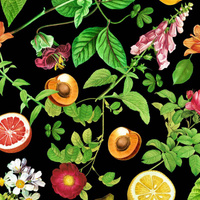 PARADISE FRUITS pat. 2 (PARADISE GARDEN)