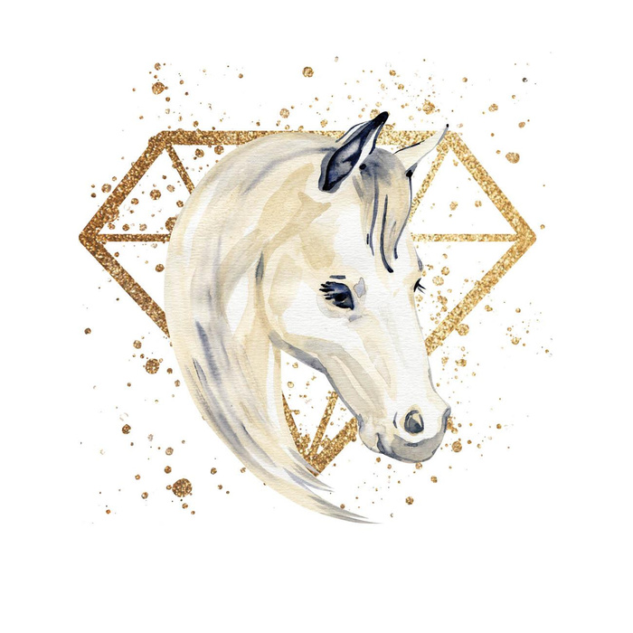 KŮŇ vz. 4 - panel (75cm x 80cm) teplákovina