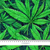 Hemp leaves WZ. 7 - lycra 300g