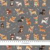 CHIHUAHUA DOGS - tkanina wodoodporna