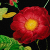 ROTER GARTEN (PARADIESGARTEN) - French Terry mit Elasthan