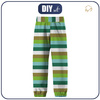 CHILDREN'S SOFTSHELL TROUSERS (YETI) - DRAGON DINO / STRIPES (98/104)