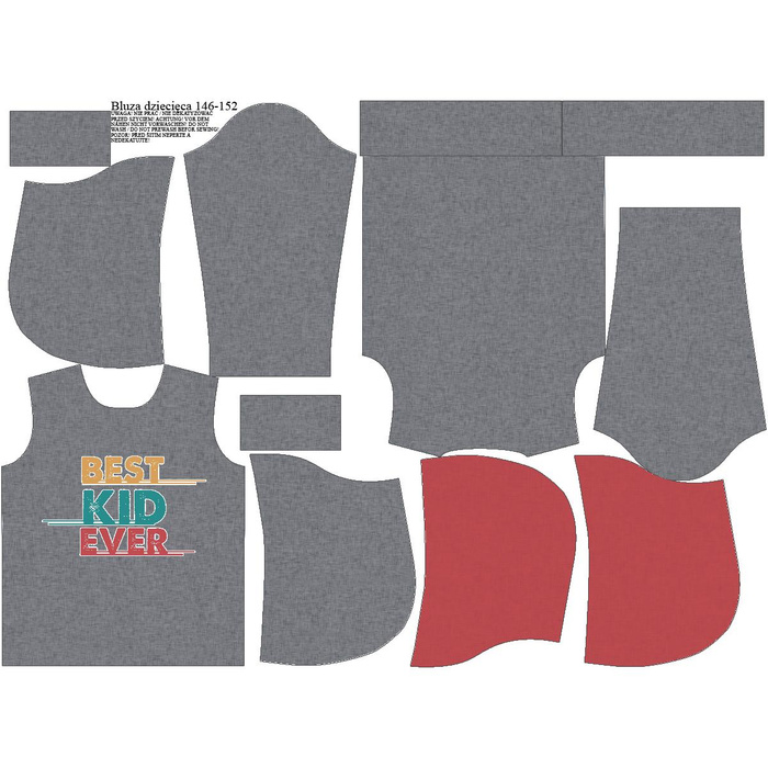 KID'S HOODIE - BEST KID EVER - looped knit fabric (98/104)