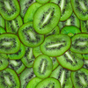 KIWI - bio single jerset mit Elastan TE210 Sommersweat