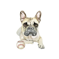 BULLDOG / beige - Paneel Sommersweat  50cm x 60cm