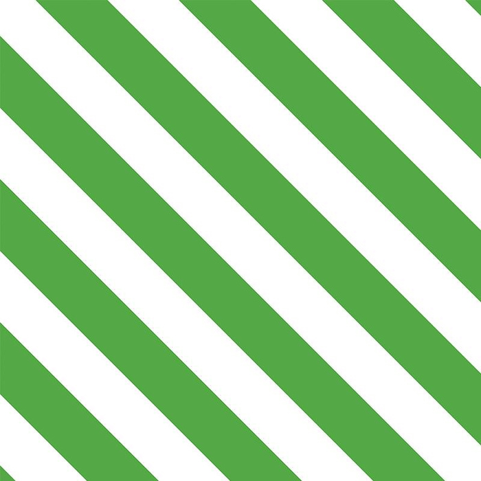 DIAGONAL STRIPES / green - looped knit 