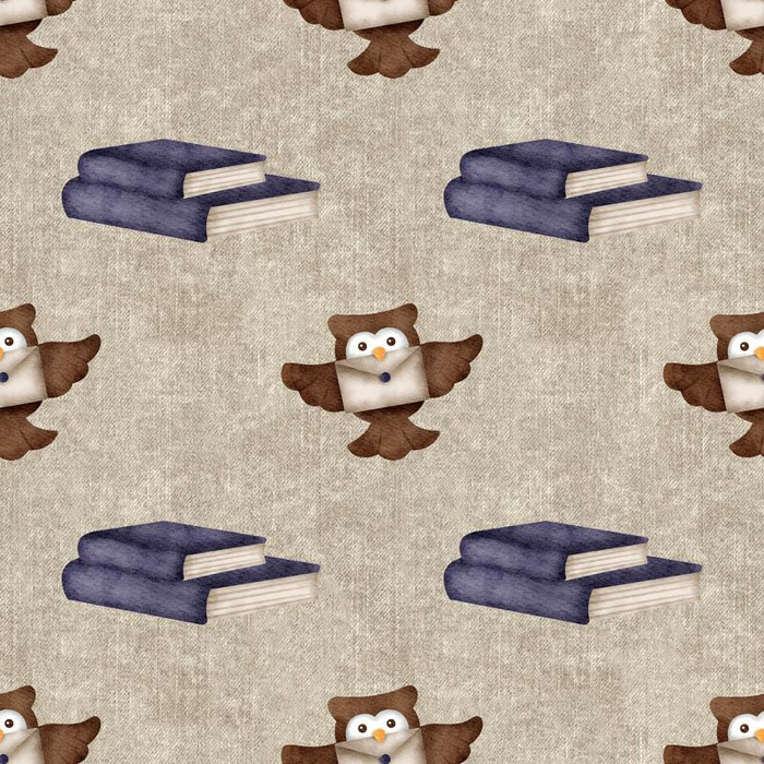 OWLS / books (MAGIC SCHOOL) / ACID WASH BEIGE