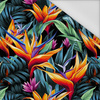 WILD JUNGLE WZ.11 - tkanina wodoodporna