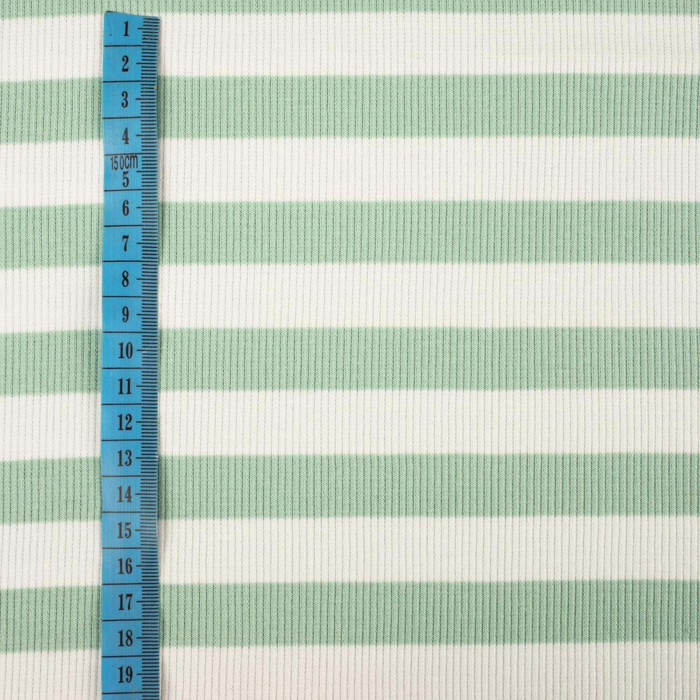 Rib Jersey fabric Unicolour - STRIPES / MINT 