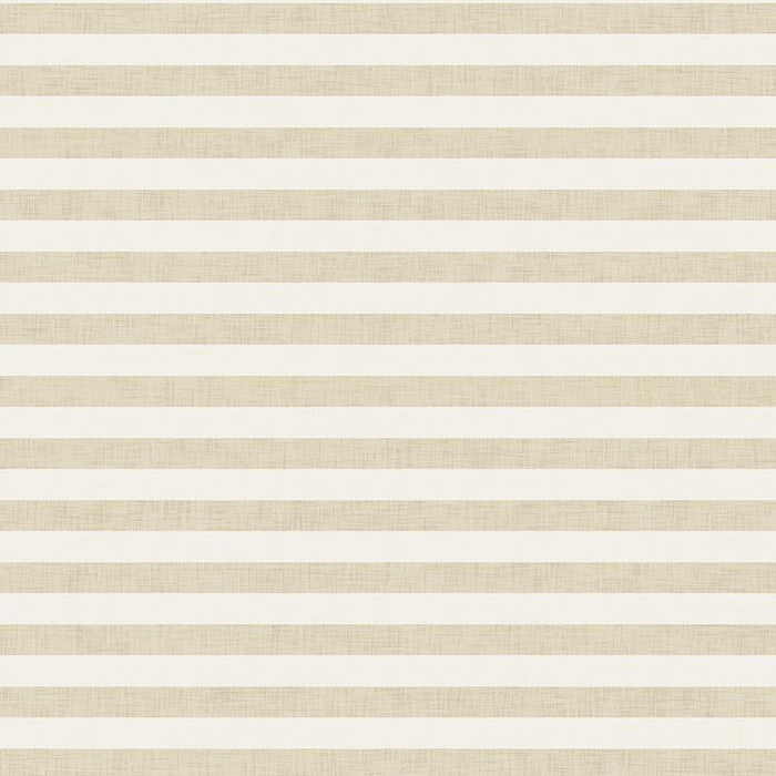 STRIPES 1x1 - acid ecru / acid beige  - softshell