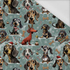 DOGS WZ. 3 / CHRISTMAS - ortalion PUMI