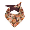KID'S CAP AND SCARF (CLASSIC) - AUTUMN TIME PAT. 2 59-61